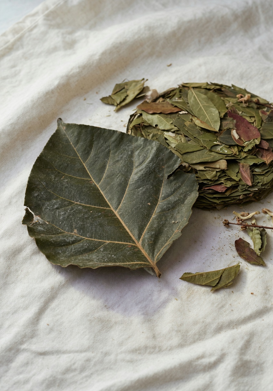 The <em>raw</em> leaf, and the long wait it asks for